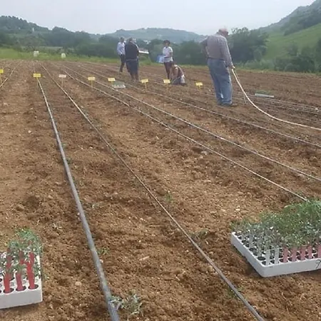 Nocleg ze śniadaniem Gaeleon Campofilone