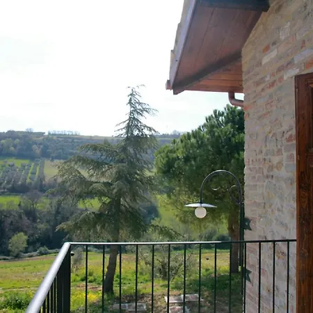 Gaeleon * Campofilone