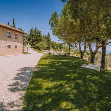 Gaeleon Campofilone