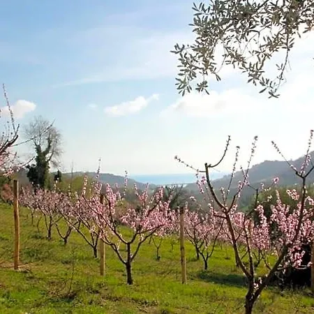 Gaeleon 4* Campofilone