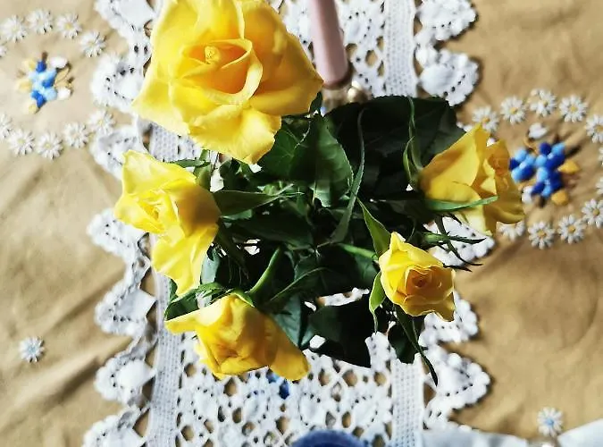 Gaeleon Bed & Breakfast Campofilone